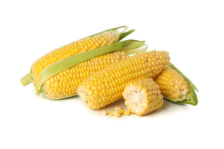 Fresh raw corn isolated on white backgroundの写真素材