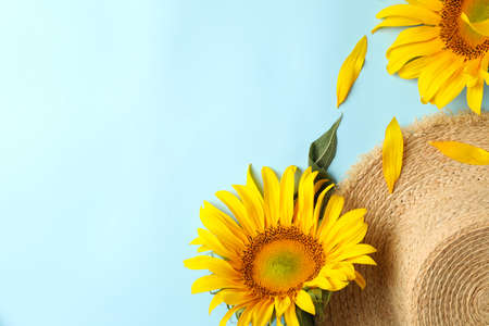 Straw hat and sunflower on blue backgroundの写真素材