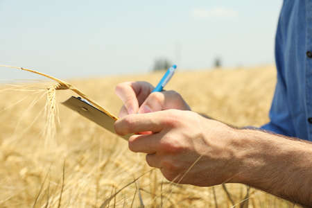 Young man with clipboard in barley field. Agriculture business. Farming