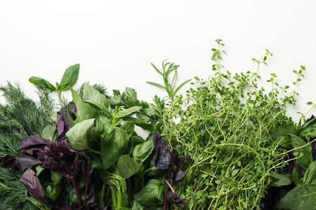 Different herbs on white background, space for textの写真素材