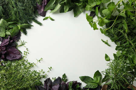 Different herbs on white background, space for textの写真素材