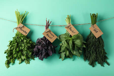 Twine with different herbs on mint backgroundの写真素材