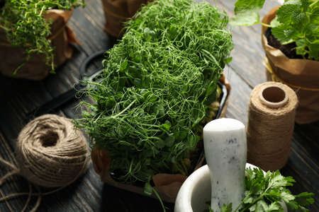 Different herbs, jute twine, scissors and mortar on wooden background