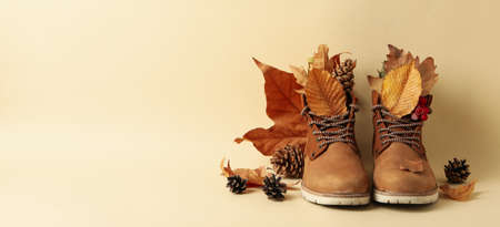 Boots, leaves and cones on beige background, space for text