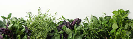 Different herbs on white background, space for textの写真素材