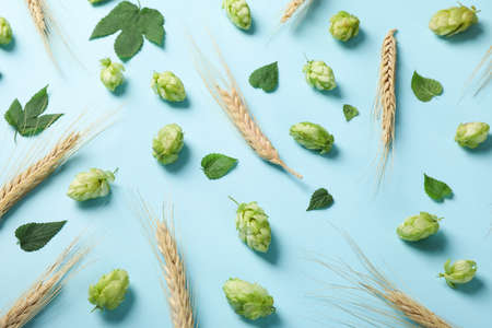 Wheat, hop and leaves on blue backgroundの写真素材