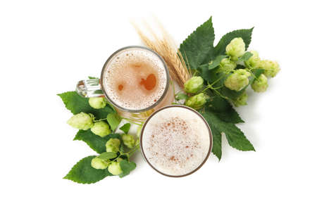 Beer and green hop isolated on white background