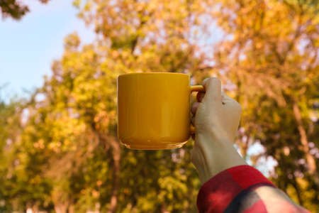 Female hand in shirt hold yellow cup outdoorの写真素材