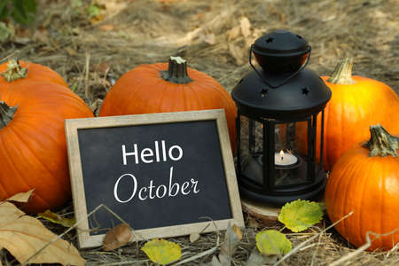 Cozy autumn concept with pumpkins and space for text