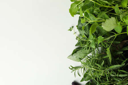Different herbs on white background, space for textの写真素材