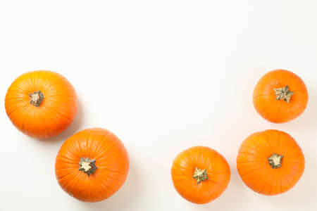 Pumpkins on white background, top view and space for textの写真素材