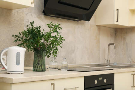 Vase with plant and electric kettle on kitchen tableの写真素材