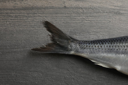 Herring fish tail on gray wooden backgroundの写真素材