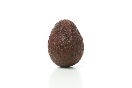 One fresh avocado isolated on white background