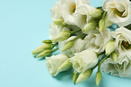 Bouquet of roses on blue background, close up and space for textの写真素材