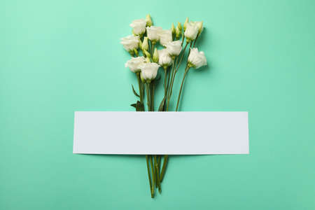 Beautiful roses and space for text on mint backgroundの写真素材
