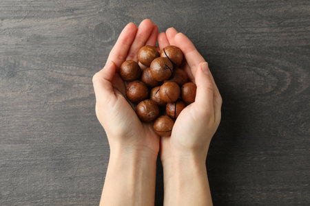 Female hands hold tasty macadamia nuts on gray wooden backgroundの写真素材