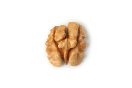 Single tasty walnut isolated on white backgroundの写真素材