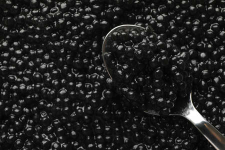 Fresh black caviar and spoon on whole background, close upの写真素材