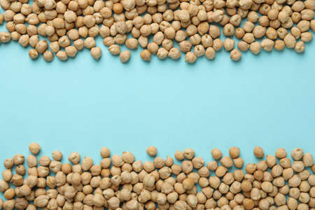 Fresh chickpea on blue background, space for textの写真素材