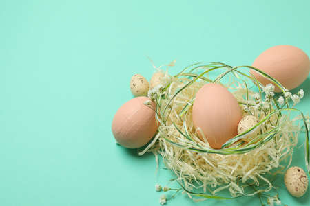 Easter eggs in nest on mint background