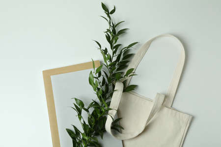 Eco bag, copybooks and twig on white background