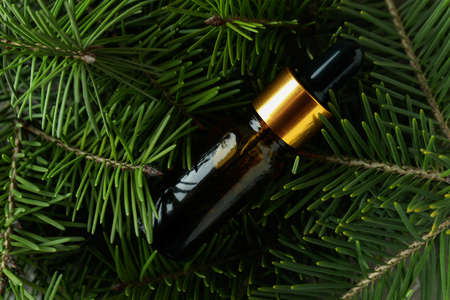Bottle of pine oil and pine twigs, close upの写真素材
