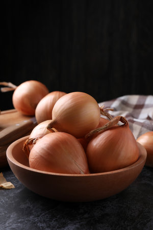 Board and bowl with fresh onion on black smokey tableの写真素材