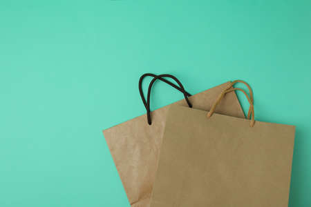 Blank paper bags on mint background, space for text