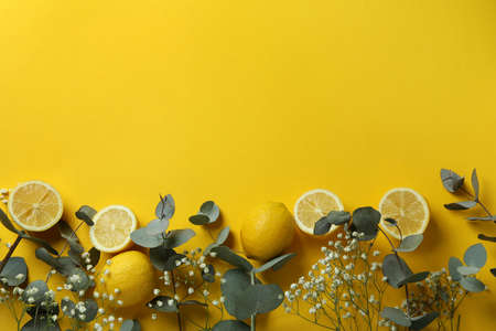 Eucalyptus branches, lemons and gypsophila on yellow backgroundの写真素材