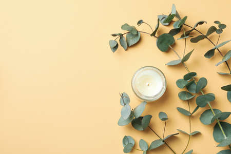 Beautiful eucalyptus and candle on beige backgroundの写真素材