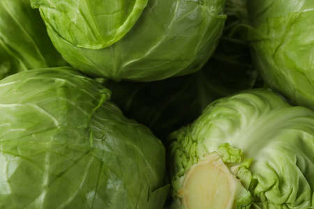 Fresh green cabbage on whole background, close upの写真素材