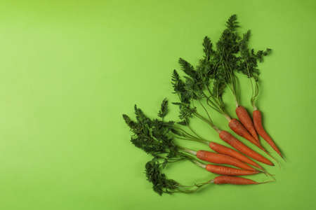Fresh carrot on green background, space for textの写真素材