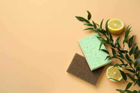 Sponges, branch and lemons on beige background