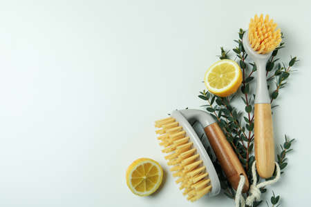 Eco friendly brushes, twigs and lemons on white background