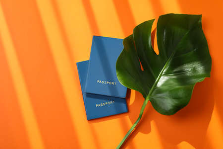 Palm leaf and passports on orange background