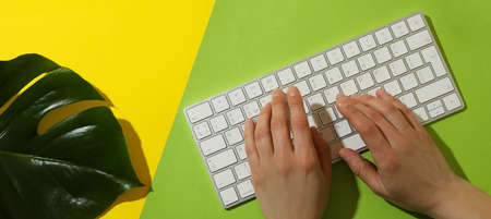 Female hands are typing on the keyboard on two tone background with palm leafの写真素材