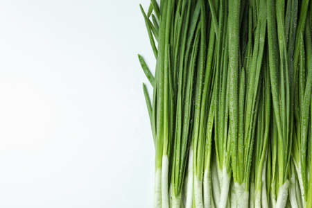 Fresh green onion with water drops, space for textの写真素材