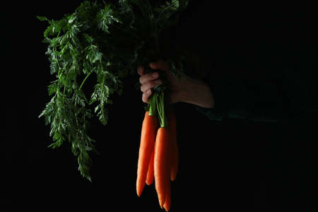 Female hand hold fresh carrot on dark background