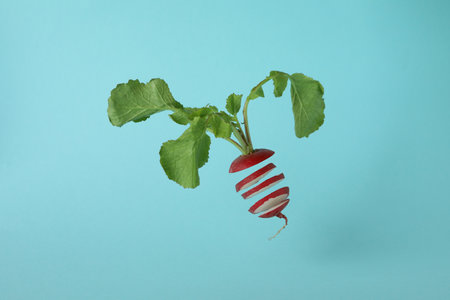 Fresh chopped radish on blue background, close upの写真素材