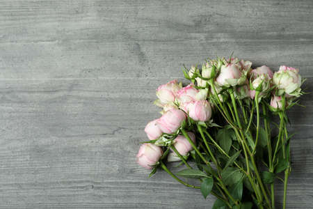 Beautiful rose flowers on gray textured backgroundの写真素材