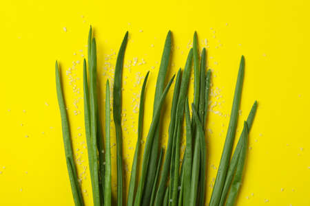 Fresh green onion and salt on yellow background