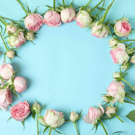 Roses on blue background, space for textの写真素材