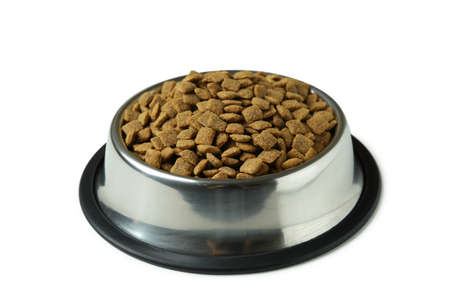 Pet bowl with feed on white background