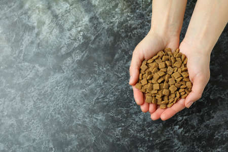 Female hands hold pet feed on black smokey backgroundの写真素材