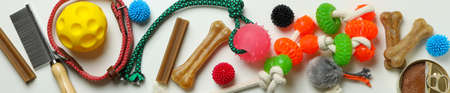 Pet accessories on white background, top view