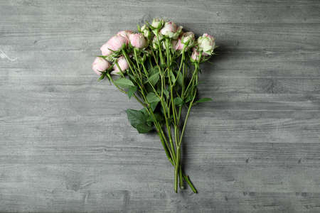 Beautiful rose flowers on gray textured backgroundの写真素材