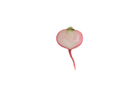Half of radish isolated on white background