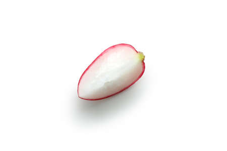 Fresh radish slice on white background, close upの写真素材