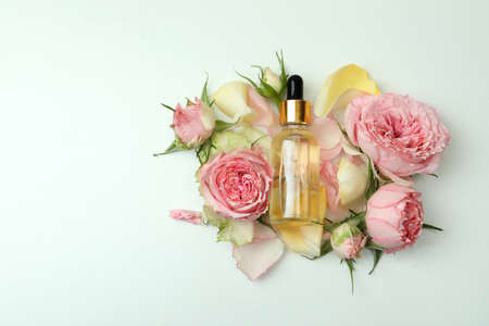 Essential rose oil and roses on white backgroundの写真素材